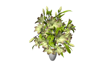 beautiful flower of artificial flower roses in a rustic vase for weddings and home deco with the transparent png background