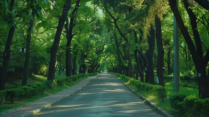 Fototapeta premium footpath in the park