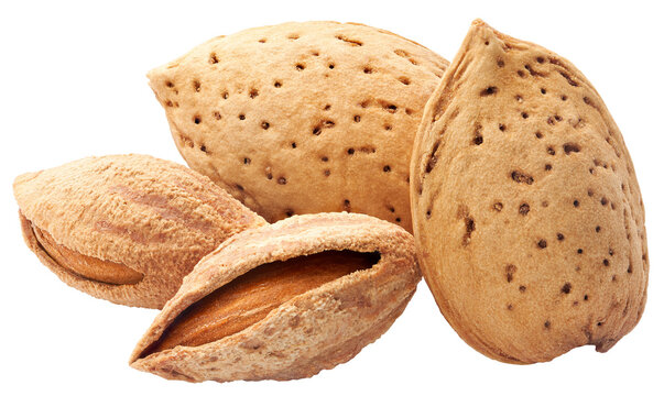 Group of almonds with shell isolated