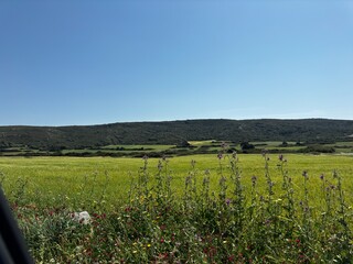 Fototapeta premium Rhodes Island, Greece 