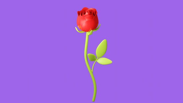 Red rose with green leaf. Minimal modern motion design. Abstract animation