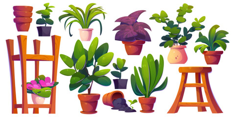 Obrazy na Plexi  Greenhouse and gardening elements. Cartoon vector illustration set of pants in pot, wooden rack and chair, empty flowerpots. Glasshouse or conservatory room interior houseplants and greenery.
