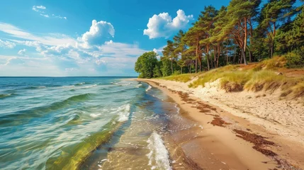 Foto op Plexiglas Stunning beach on peninsula Hel, Baltic Sea in Poland, Europe  © Nijat