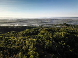 Aerial wide view of Dense natural forest trees on the mountain hills with morning mist. Misty and Foggy Jungle. Concept for International Day of Forest, World Environment Day.