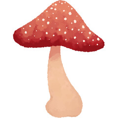fly mushroom