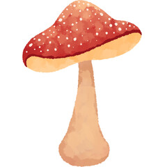 Mushroom 