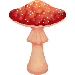 fly agaric mushroom