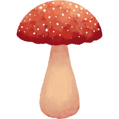 fly agaric mushroom