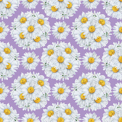 Seamless pattern of watercolour chamomile flowers bouquet round. Hand drawn illustration. Botanical hand painted floral elements on lilac background. For print decoration, fabric, wrapping, wallpaper
