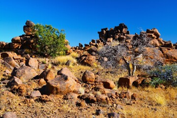 The Giant's Playground (a vast pile of large dolerite rocks) - tourist attraction of southern...