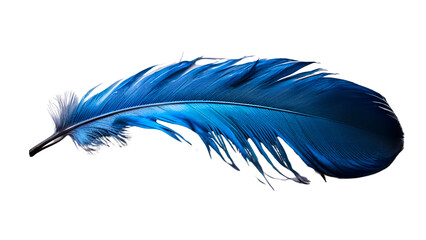 Blue feather isolated on white background © xumbul