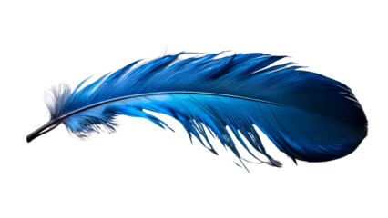 Blue feather isolated on white background