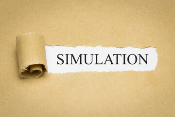 Simulation - obrazy, fototapety, plakaty