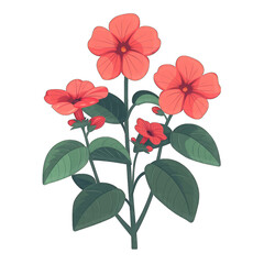 Impatiens Flower in Simple Flat Vector Style on White Background - Minimalistic Design for Transparent Cut-Outs - Adobe Stock Photo