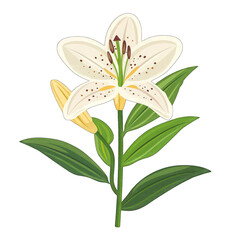 Naklejka premium Minimalistic Lily Illustration with Flat Design on White Background - Cute and Simple Vector Art for Various Creative Projects