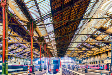 Gare de Lyon Train  station in Paris.