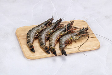 Raw tiger prawn for cooking