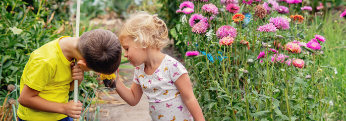 two happy children catch and admire butterflies.