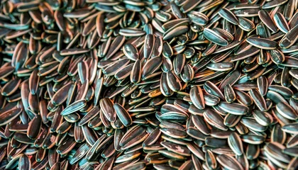 Rolgordijnen A pile of sunflower seeds in market © xy