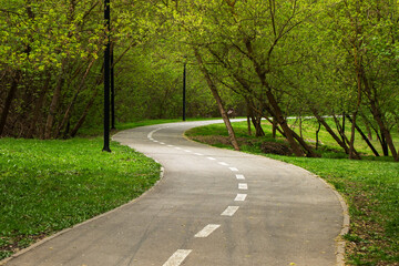 Winding wide bicycle road in a city garden or park with green lawn and trees. Curved empty bike path with white markings
