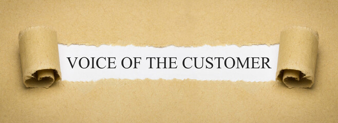 voice of the customer