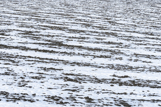 Melting snow on a plowed field in April.