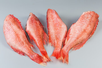 Frozen redfish carcasses with hoarfrost on a gray surface