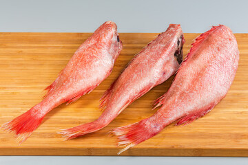 Frozen redfish with hoarfrost on cutting board on gray surface - 787046231