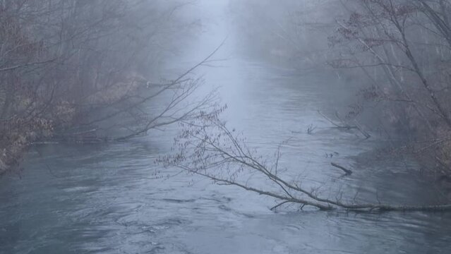 霧の朝の森の間を真っすぐに流れる川。
