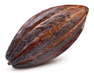 Brown cocoa pods isolated on a white background. Cocoa bean with clipping path