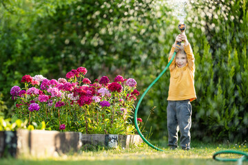 Cute little boy watering flower beds in the garden at summer day. Child using garden hose to water...