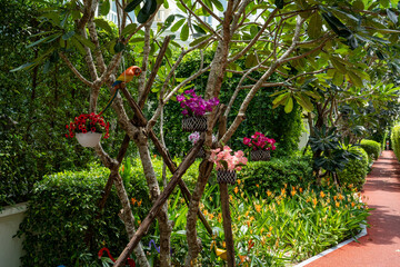 Artificial flowers hang in pots on a tree next to the lawn and red path in the condominium courtyard.