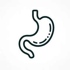 Fototapeta premium Outlined icon of a human stomach, isolated on white.