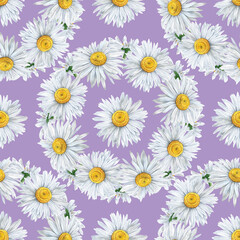Seamless pattern of watercolor chamomile flowers wreath. Botanical hand painted floral elements. Hand drawn illustration. On lilac background. For fabric, wrapping paper, wallpaper decor