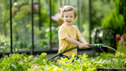 Cute little boy watering flower beds in the garden at summer day. Child using garden hose to water vegetables. Kid helping with everyday chores.
