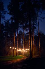 Pine tree forest with yellow glowing lamps - 787054065