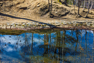 Park pond on a sunny spring day