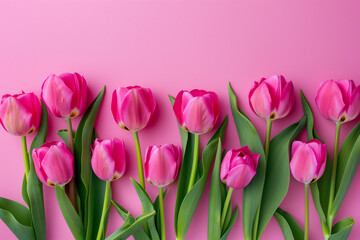 Fototapeta premium Tulips on a pink background, Generative AI