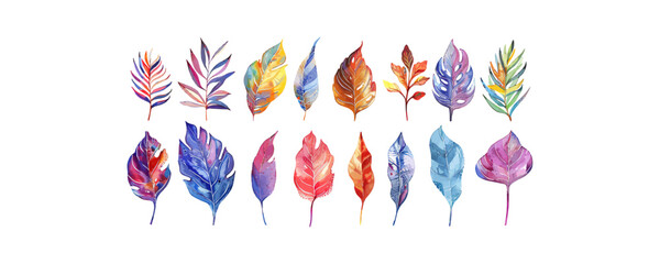 Collection of Colorful Watercolor Leaves. Vector illustration design.