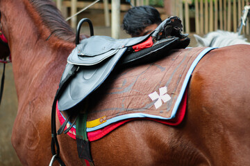 Horse saddle on brown horse - obrazy, fototapety, plakaty
