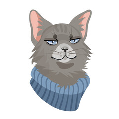 Fashionable cat guy in a sweater, vector portrait on a white background