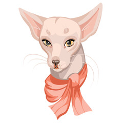 fashionable cat girl with pink scarf, vector portrait on white background