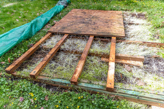 Verfaulte Unterkonstruktion aus Holz