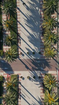 alley with palm trees aerial view, pedestrian street and car road at sunset, promenade at exotic tropical resort, directly above aerial drone view 4k, vertical