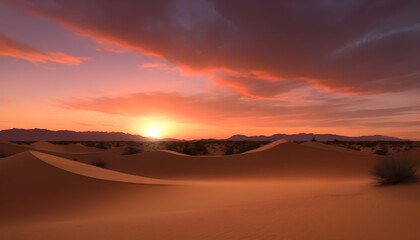 Fototapeta na wymiar sunset-in-the-desert