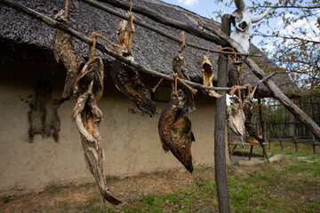 Air dried fish at ancient fisherman village