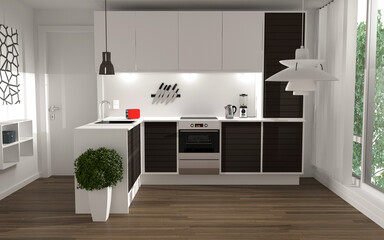 Amazing Luxury Kitchen Interior in white with wooden floor