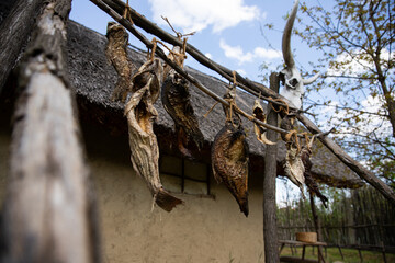Air dried fish at ancient fisherman village