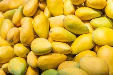 Plexiglas foto achterwand Pile of yellow mangoes in market © xy