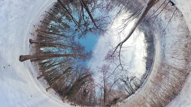 Embark on a captivating journey through a serene winter forest in this immersive 360-degree video. The tranquil setting showcases a pristine snow-covered landscape, adorned with towering trees and a